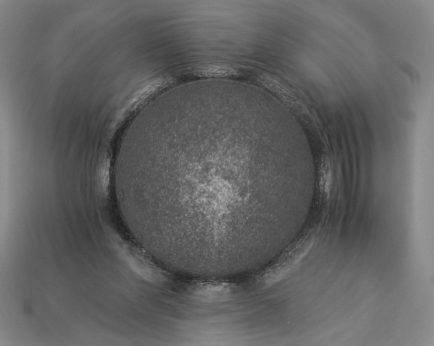 X0000115260206200911131753
