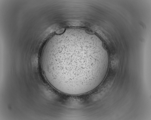 X0000115260207200911131753