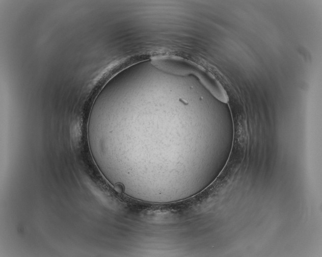 X0000115260208200911131753