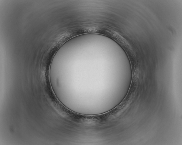 X0000115260209200911131753