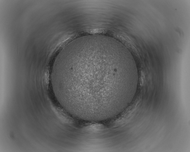 X0000115260210200911131753