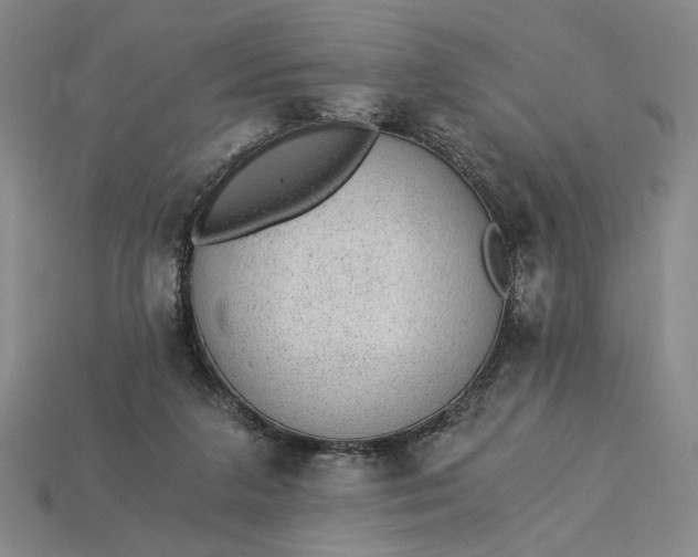 X0000115260211200911131753