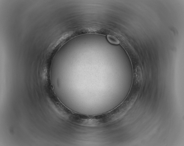 X0000115260212200911131753