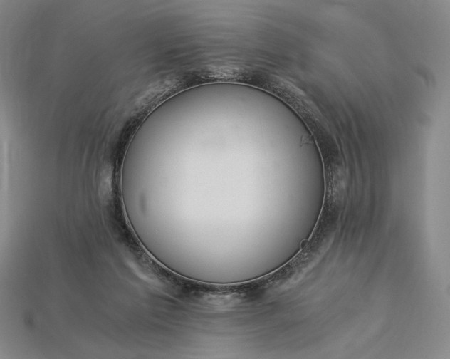 X0000115260213200911131753