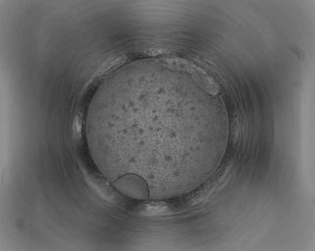 X0000115260214200911131753
