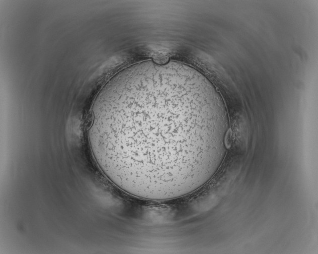 X0000115260215200911131753