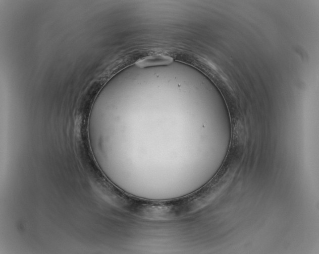 X0000115260217200911131753