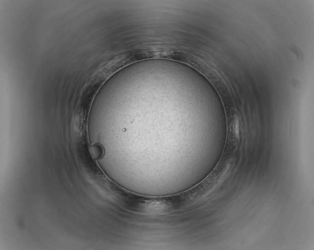 X0000115260218200911131753