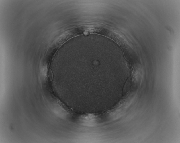 X0000115260219200911131753