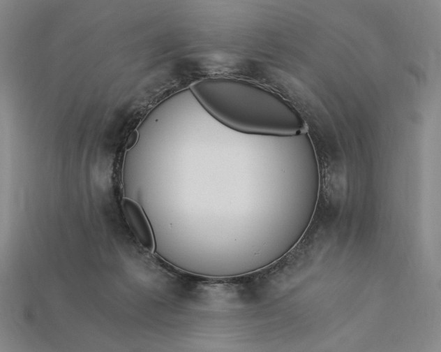 X0000115260221200911131753