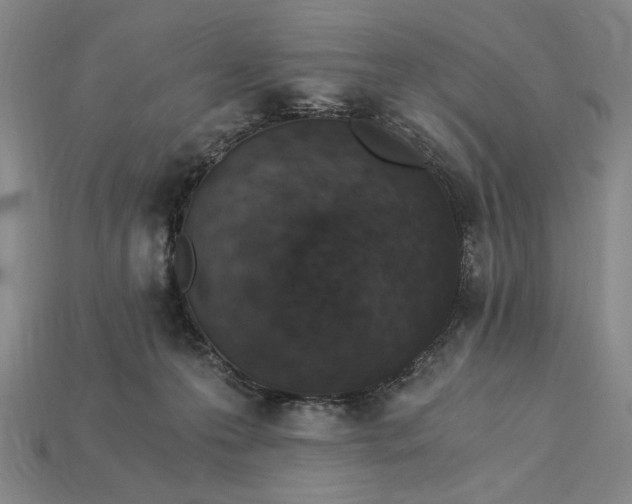 X0000115260223200911131753