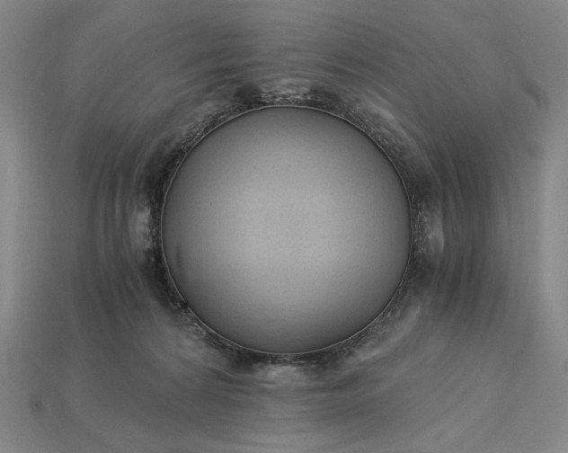 X0000115260224200911131753