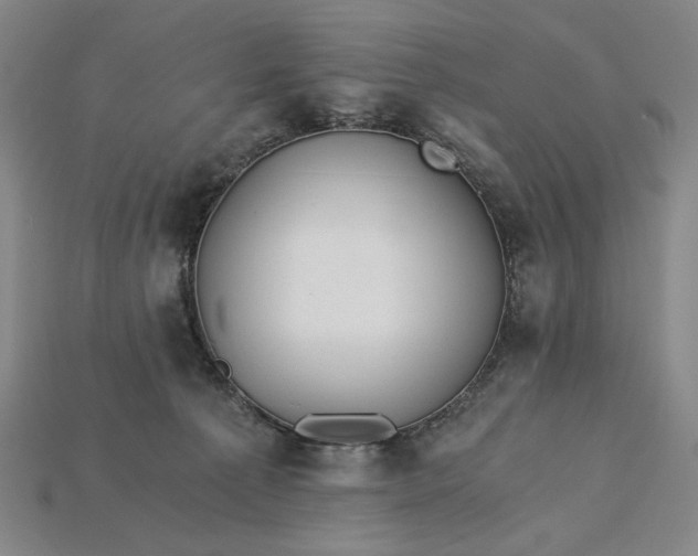 X0000115260225200911131753