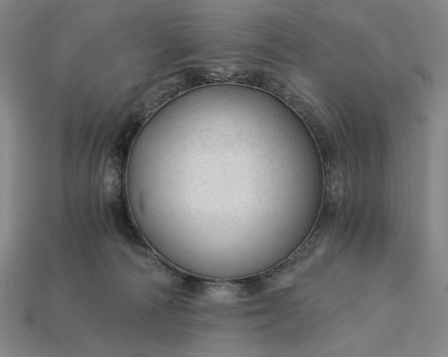 X0000115260226200911131753