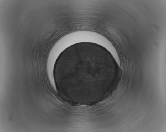 X0000115260227200911131753