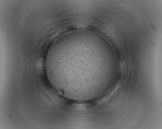 X0000115260228200911131753