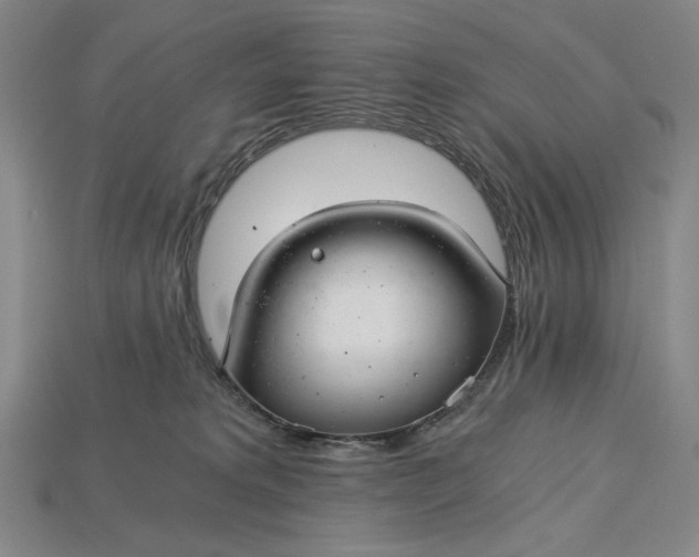X0000115260229200911131753