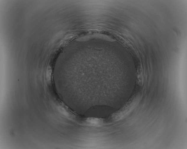 X0000115260231200911131753
