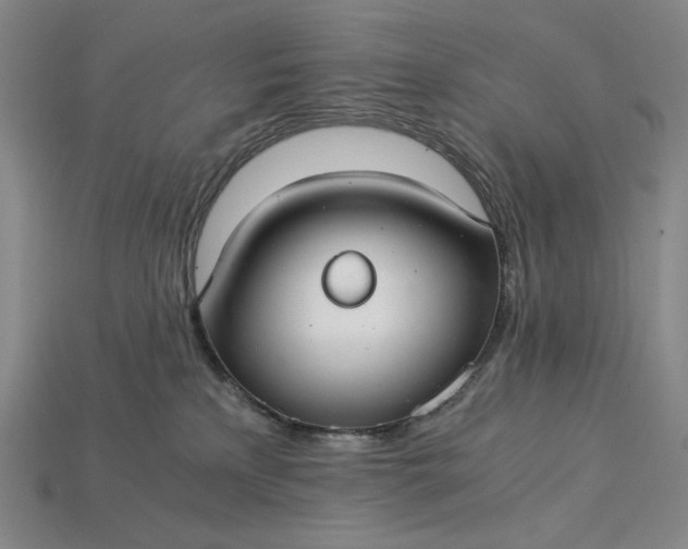 X0000115260233200911131753