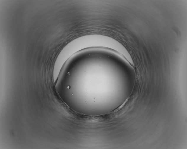 X0000115260235200911131753