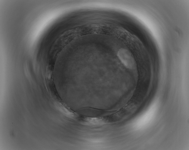 X0000115260239200911131753