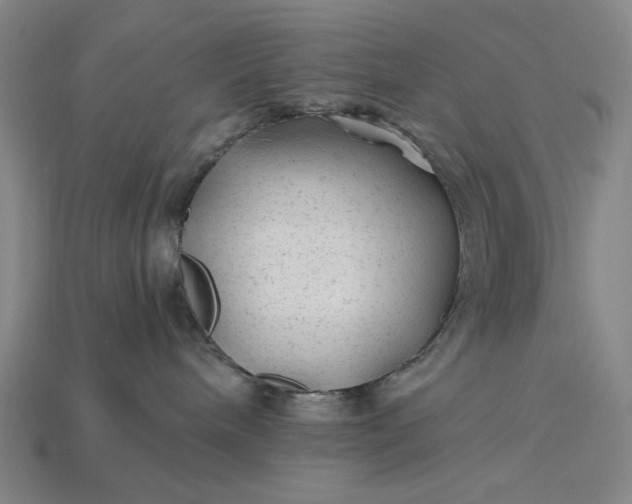 X0000115260240200911131753