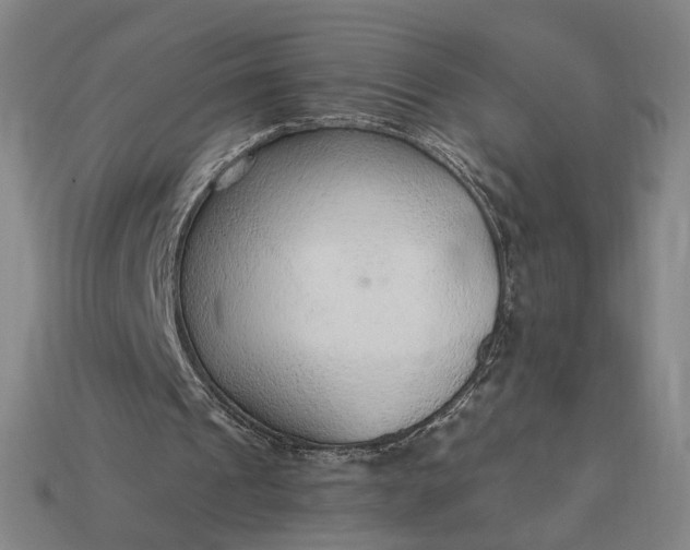 X0000115260241200911131752