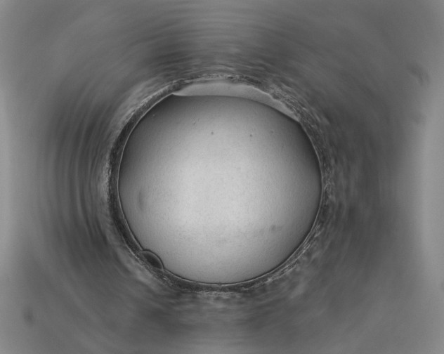X0000115260242200911131752