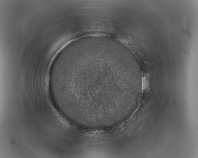 X0000115260243200911131752
