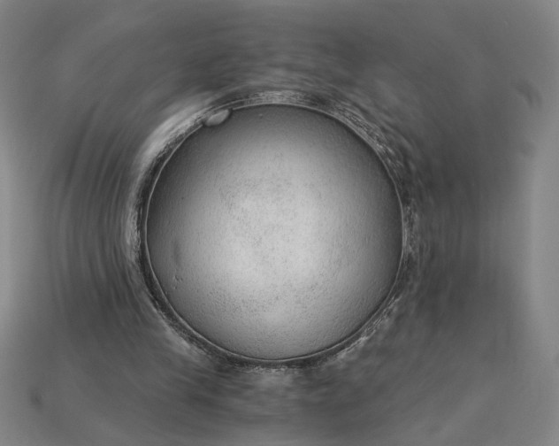 X0000115260245200911131752