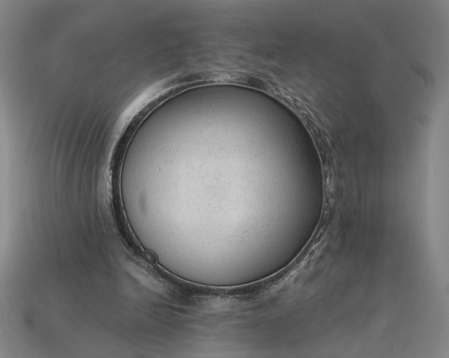 X0000115260246200911131752