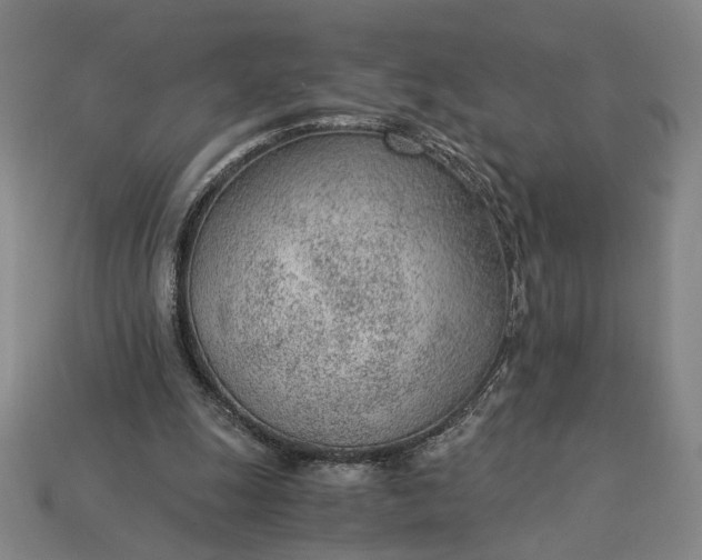 X0000115260247200911131752