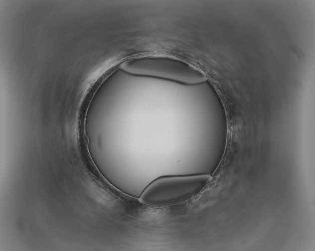 X0000115260248200911131752