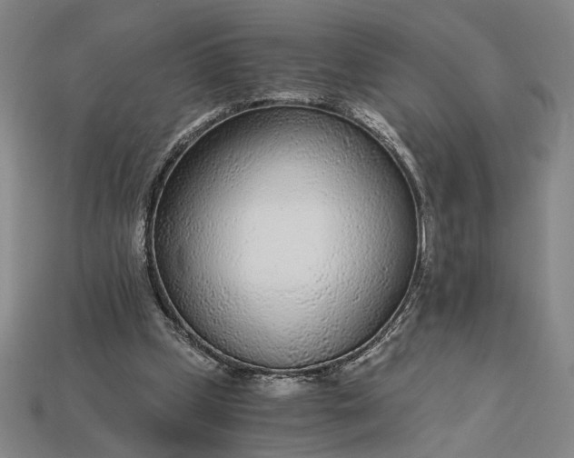 X0000115260249200911131752