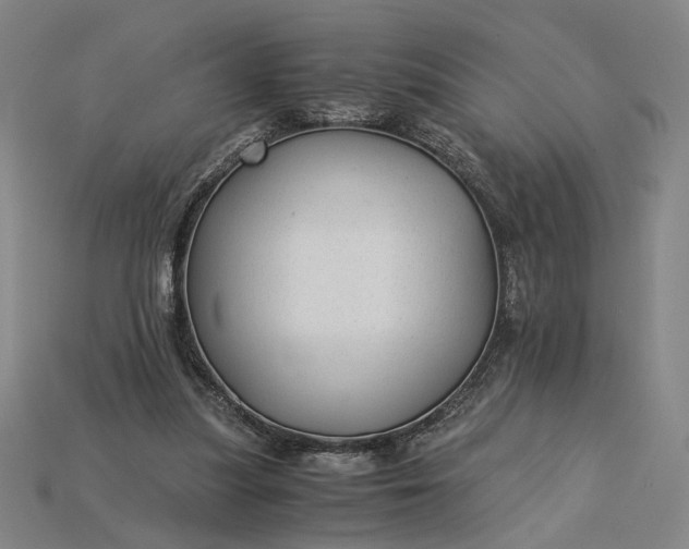 X0000115260251200911131752