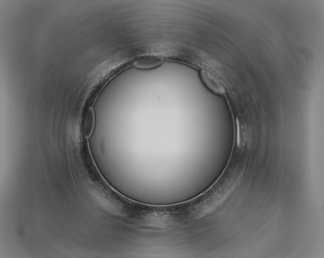 X0000115260252200911131752