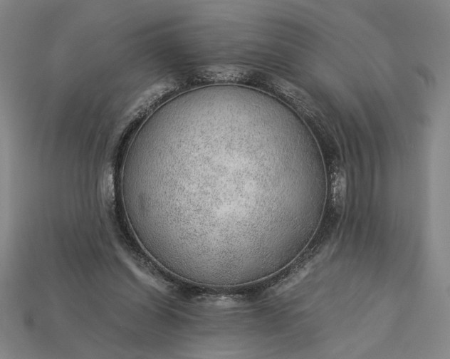 X0000115260254200911131752