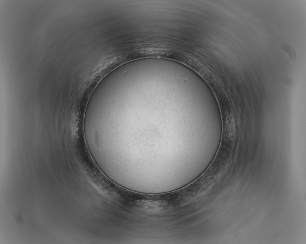 X0000115260255200911131752