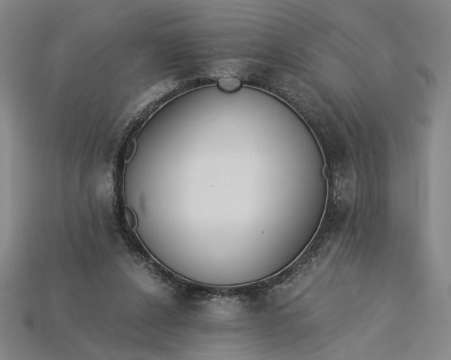 X0000115260256200911131752