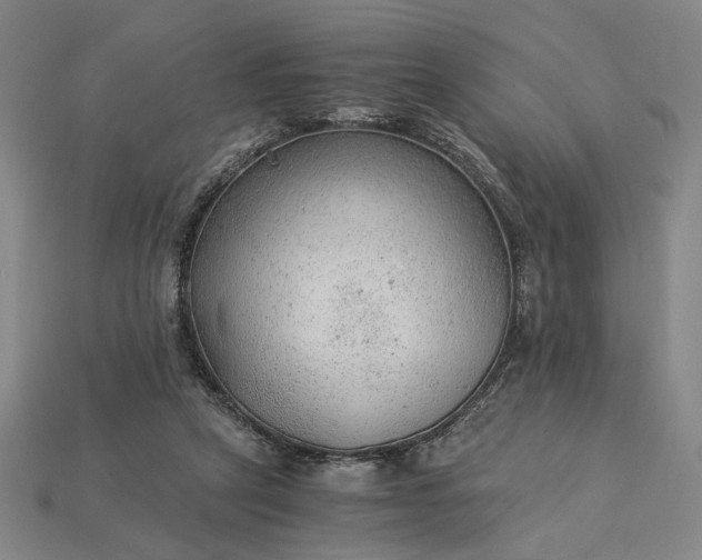 X0000115260257200911131752