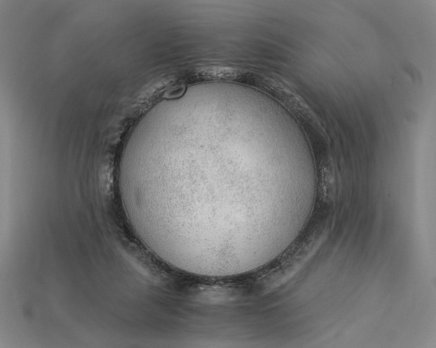 X0000115260259200911131752