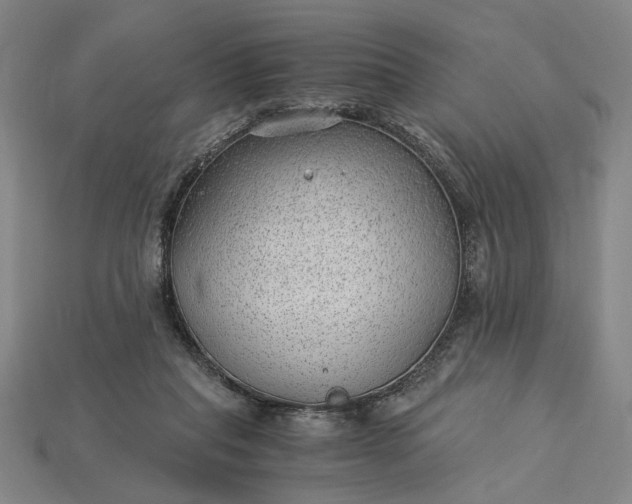 X0000115260261200911131752