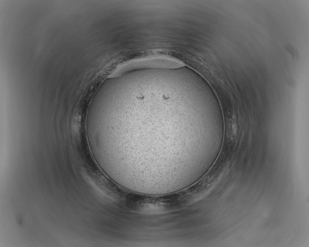 X0000115260263200911131752