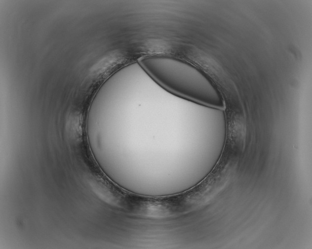 X0000115260264200911131752