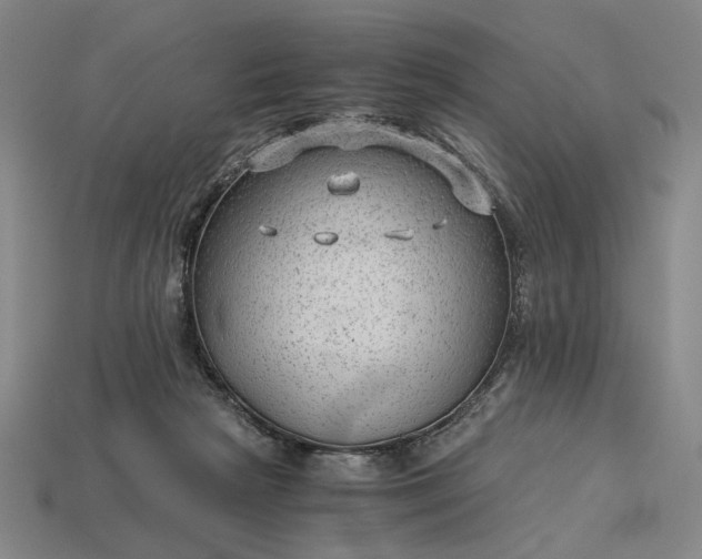 X0000115260265200911131752