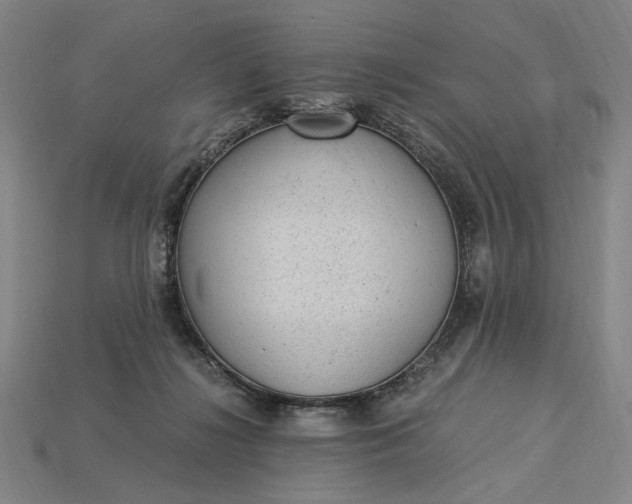 X0000115260268200911131752