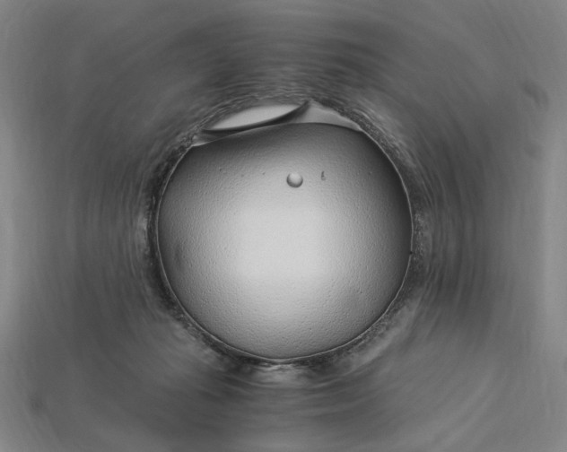 X0000115260269200911131753