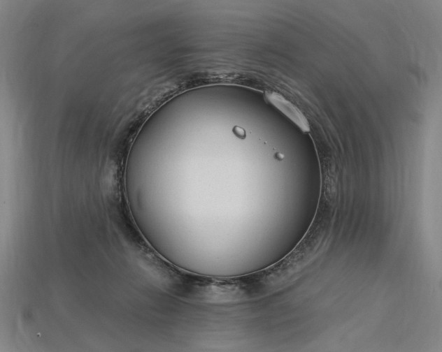 X0000115260270200911131753