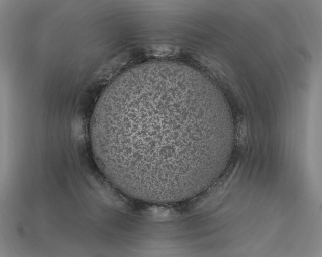 X0000115260272200911131753