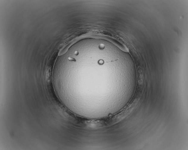 X0000115260273200911131753